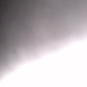 Meet your Posher, Alan